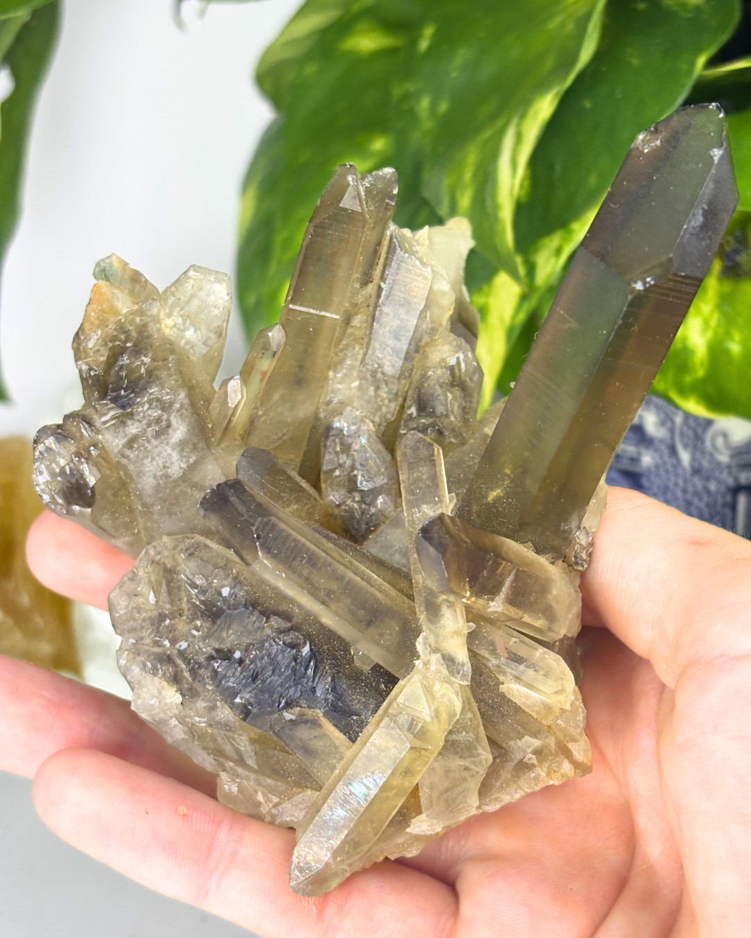 Large Smokey Quartz Cluster Specimen