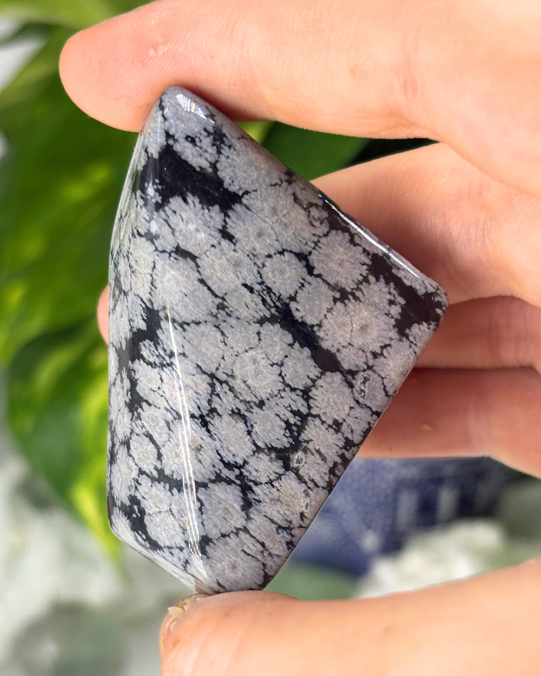 Snowflake Obsidian Freeform