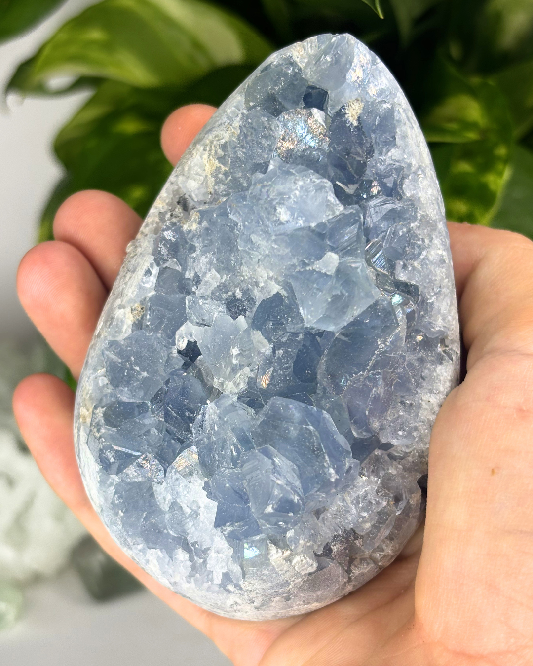 XL Celestite Egg Cluster