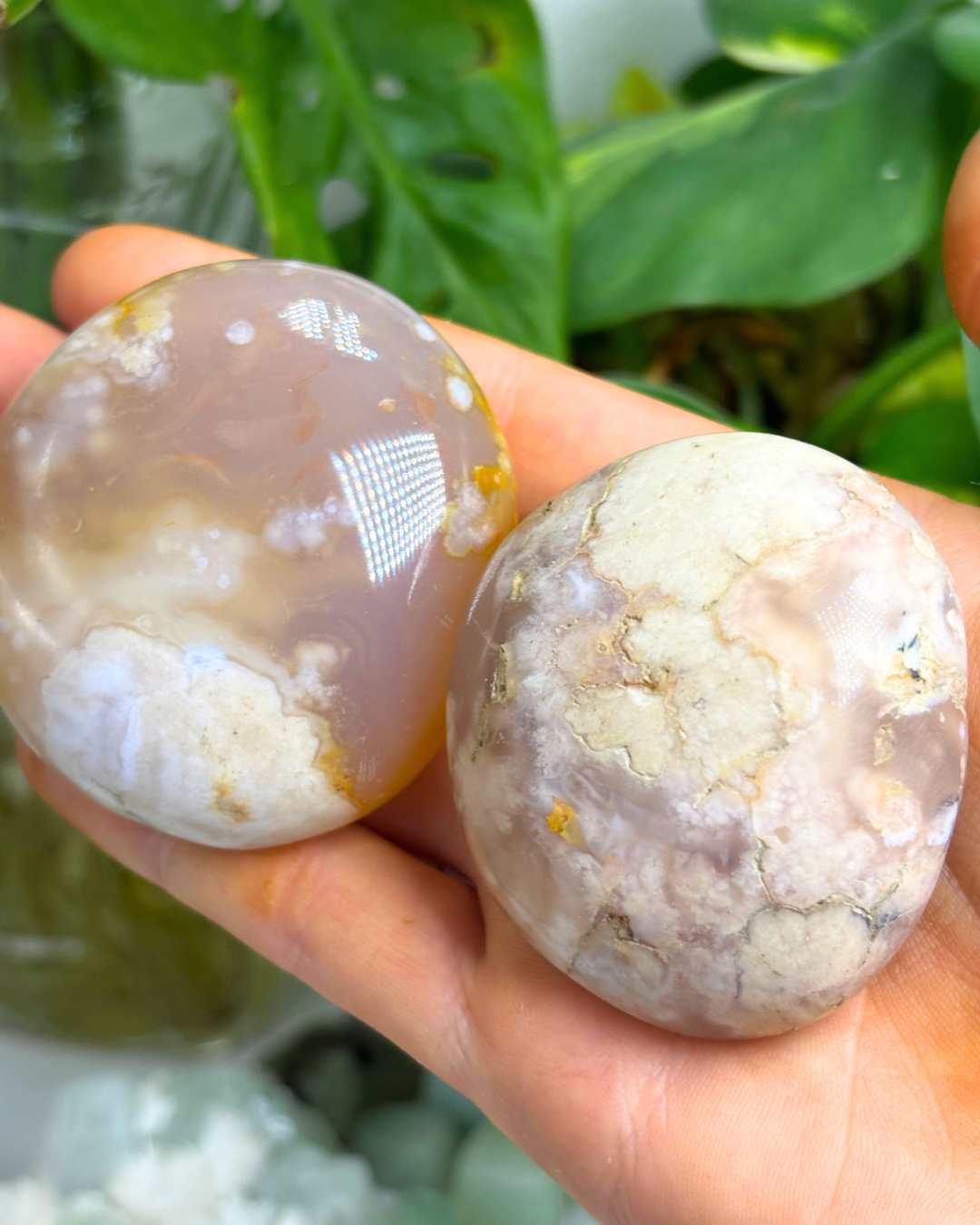 Flower Agate Palmstone