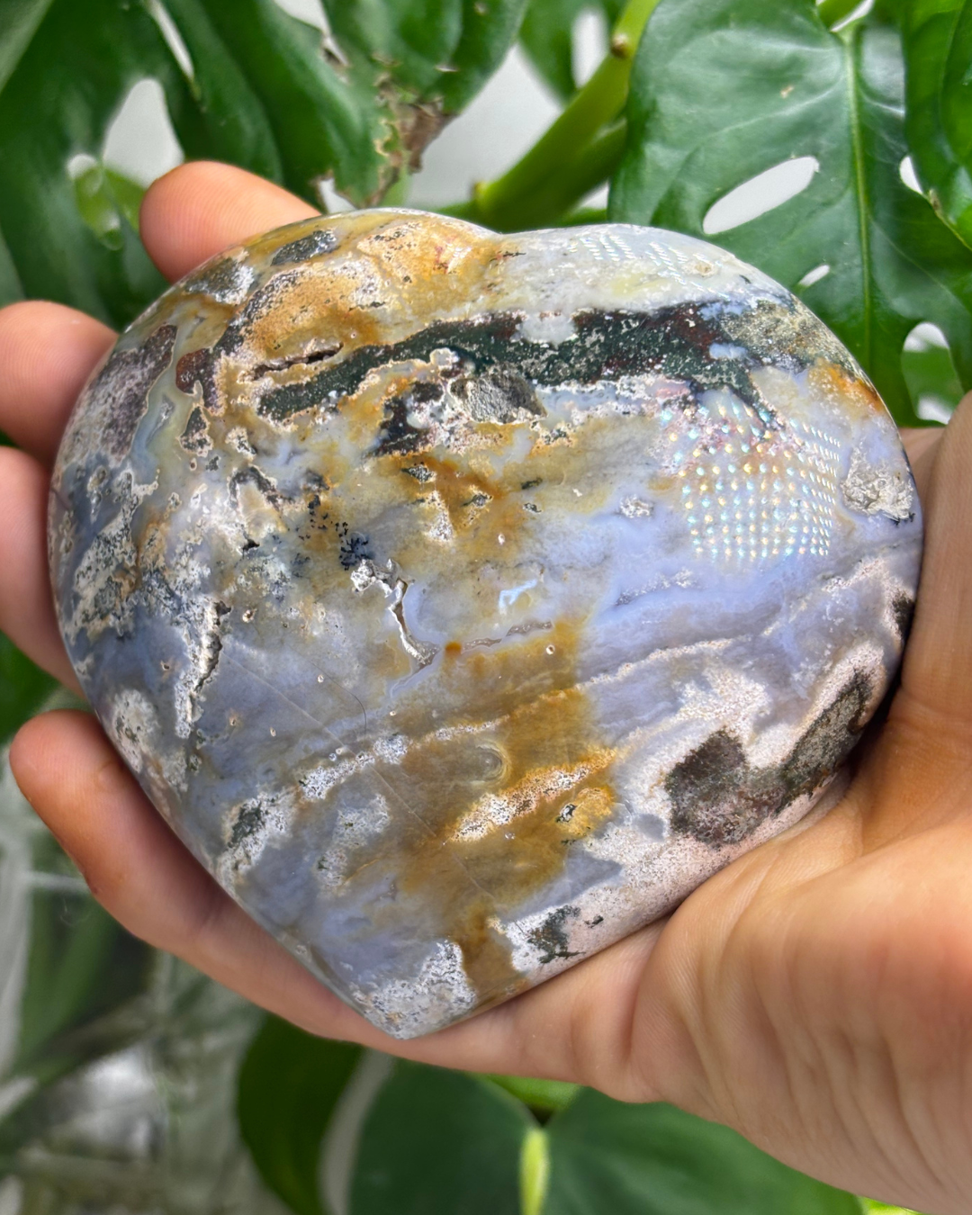 XL Purple Ocean Jasper Heart