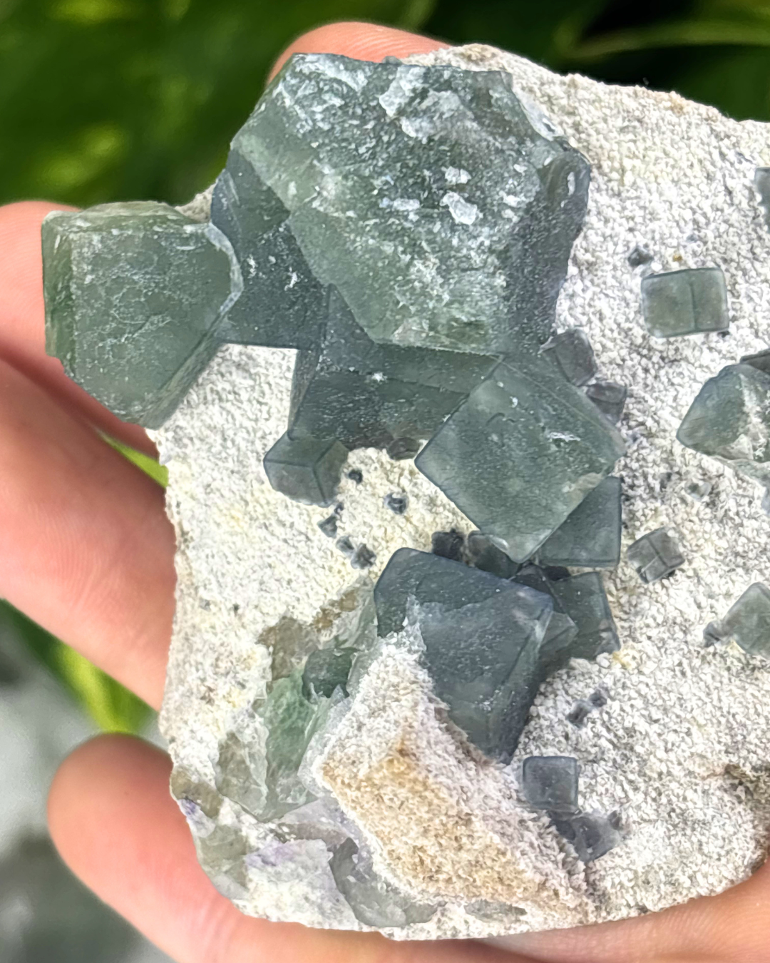 Blue Fluorite Specimen