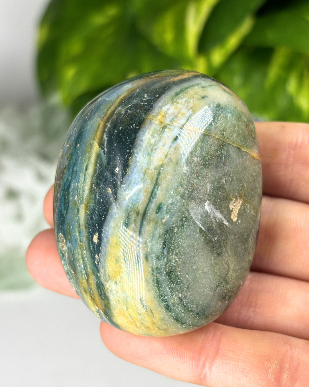 Medium Ocean Jasper Palmstone