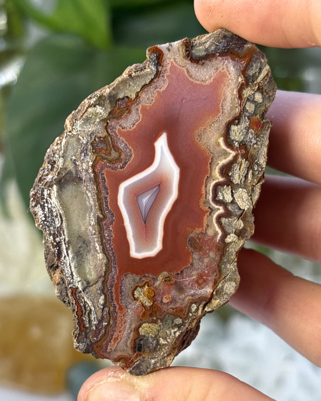 Polished Agate Geode Specimen