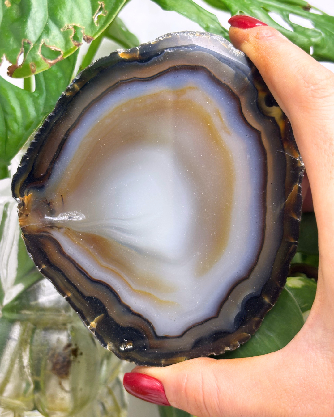 Banded Brown Agate Slice