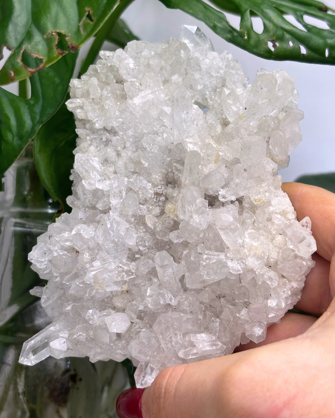 XL Clear Quartz Cluster