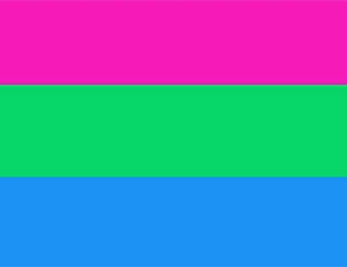 Polysexual