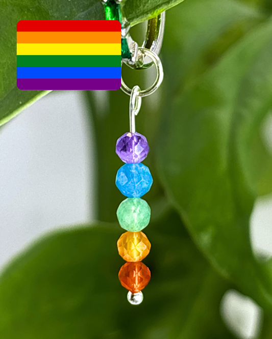 LGBTQIA+ Pride Earring Charms PAIR