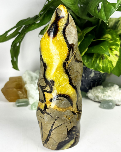 XL Septarian Flame UV Reactice
