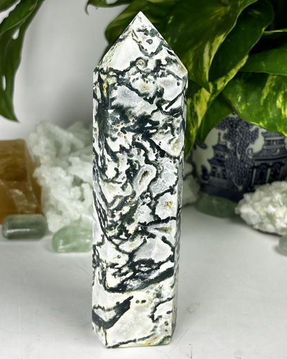 XL Tree Agate Tower C1