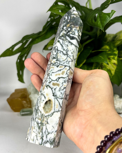 XL Druzy Tree Agate Tower C2