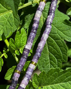 Lepidolite Disc Crystal Necklace
