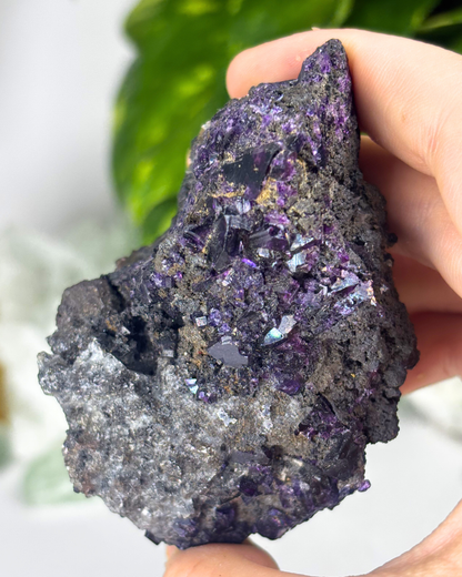 Purple Fluorite Specimen