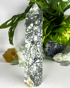 XL Druzy Tree Agate Tower C2