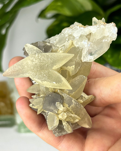 Sugary Dogtooth Quartz Cluster Specimen