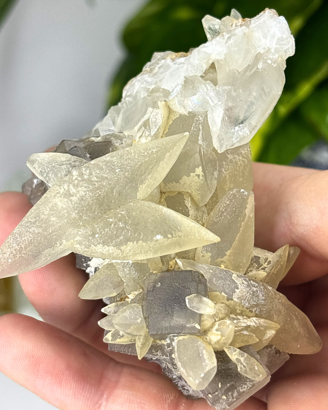 Sugary Dogtooth Quartz Cluster Specimen