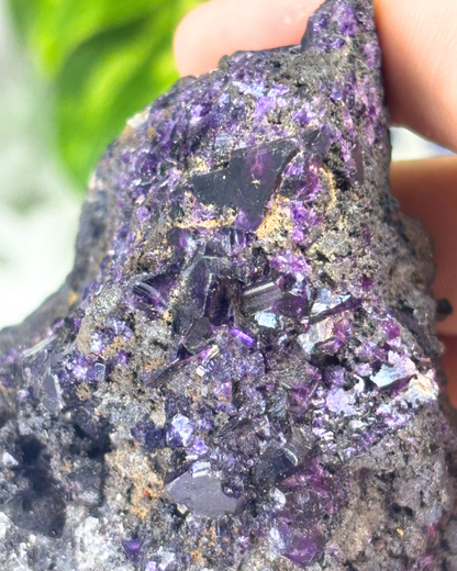 Purple Fluorite Specimen