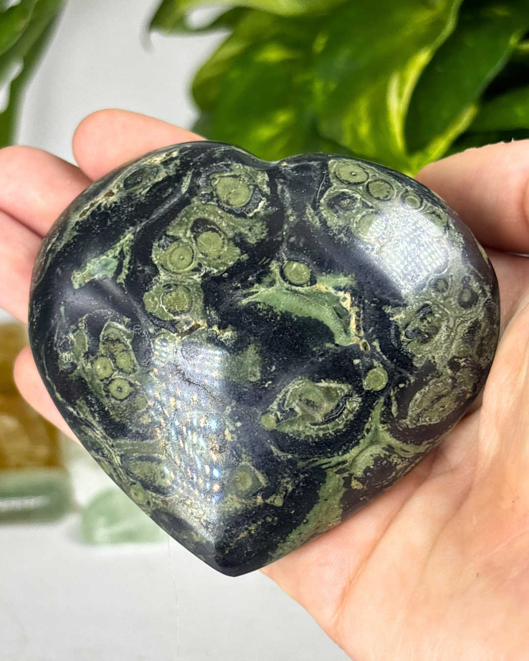 XL Kambaba Jasper Heart