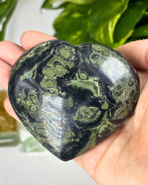XL Kambaba Jasper Heart
