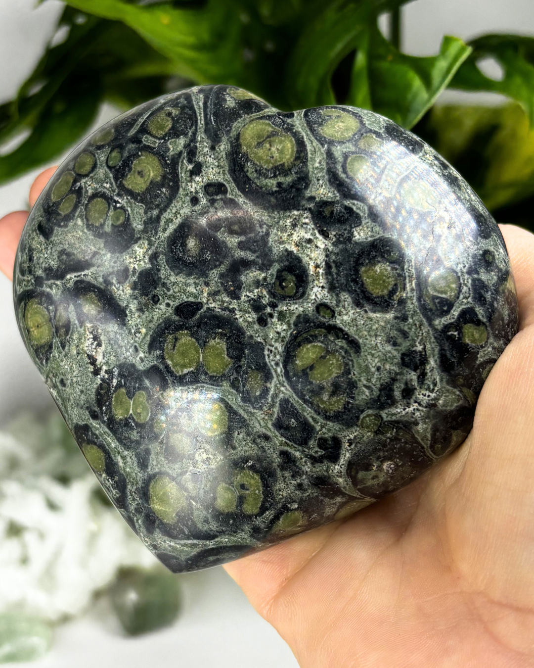 XL Kambaba Jasper Heart