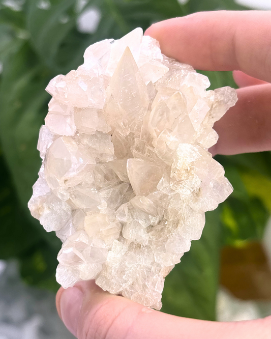 Dogtooth Clear Quartz Cluster Specimen