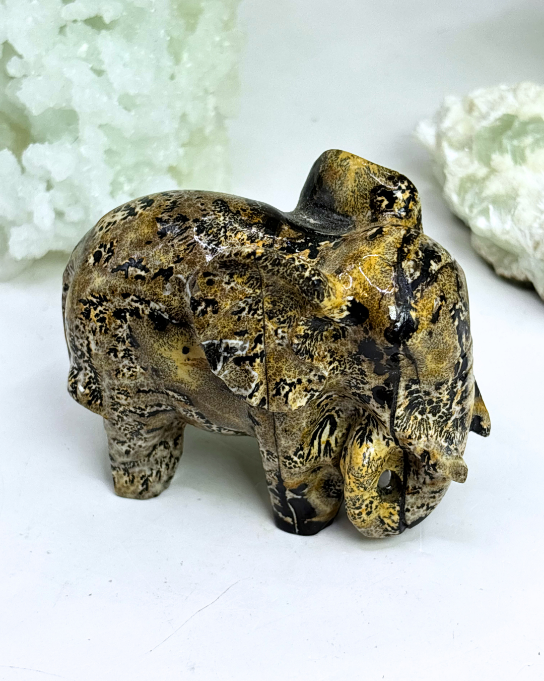 Picture Jasper Elephant 2