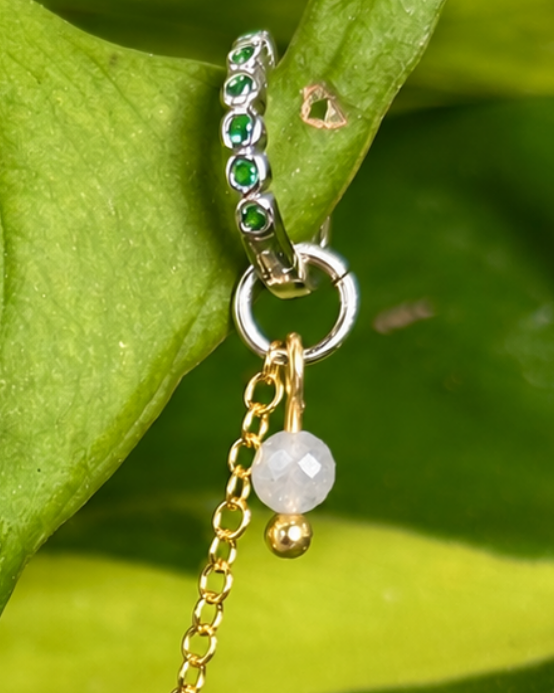 The Aphrodite Chain