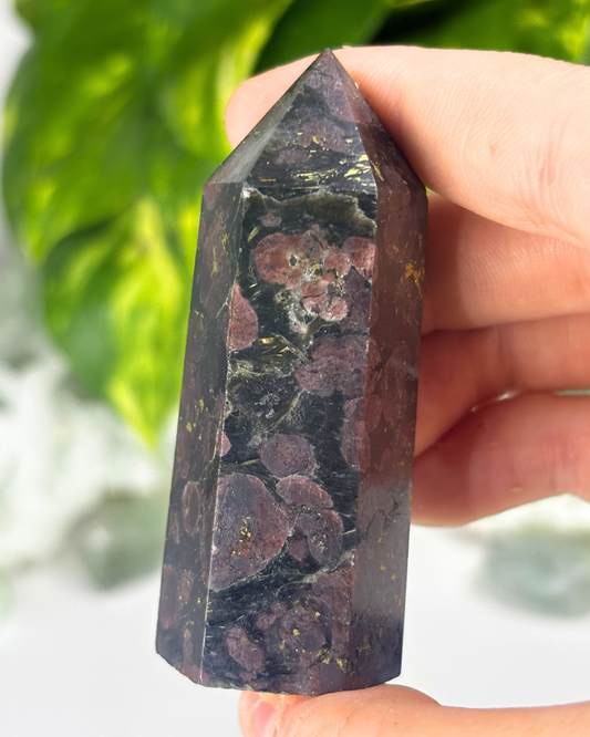 Garnet in Astropholite Tower