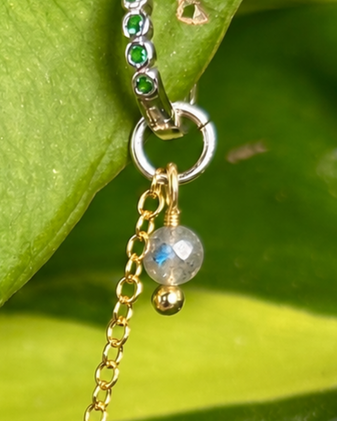 The Aphrodite Chain