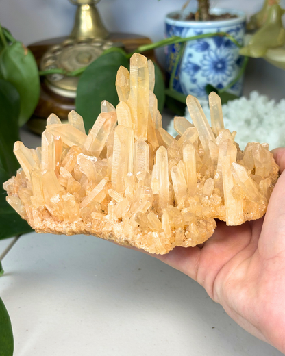XL Tangerine Quartz Cluster