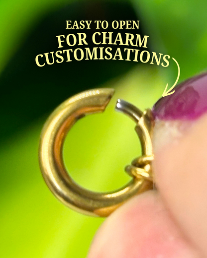 The Simple Gold Clasp Necklace