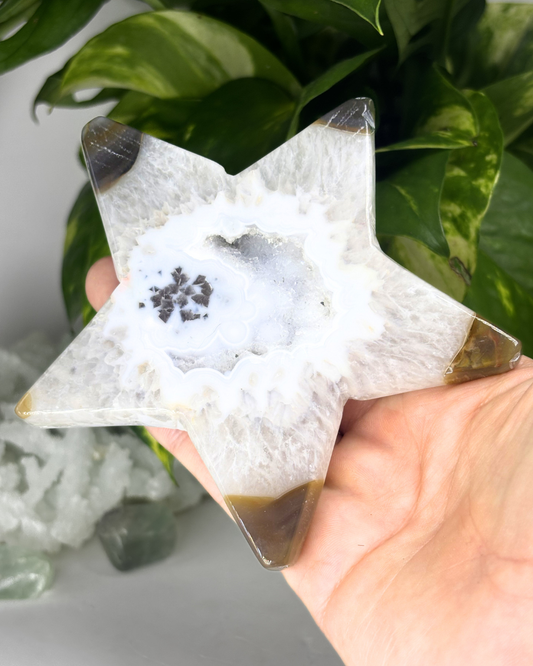 XL Druzy Agate Star Carving