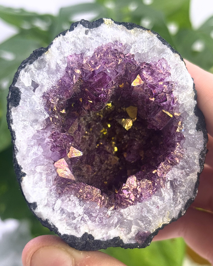 Gold Angel Aura Amethyst Geode Half 1