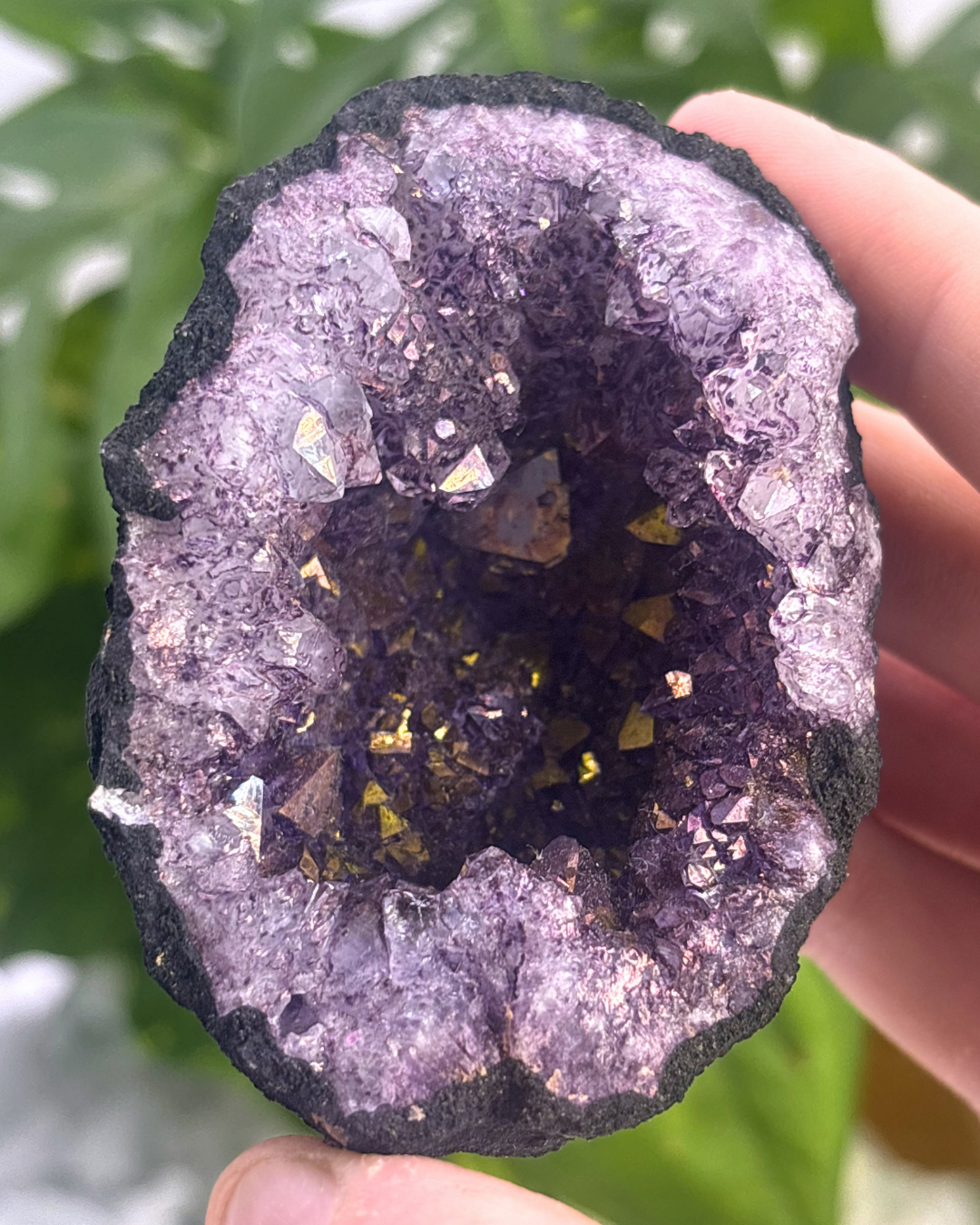 Gold Angel Aura Amethyst Geode Half 2