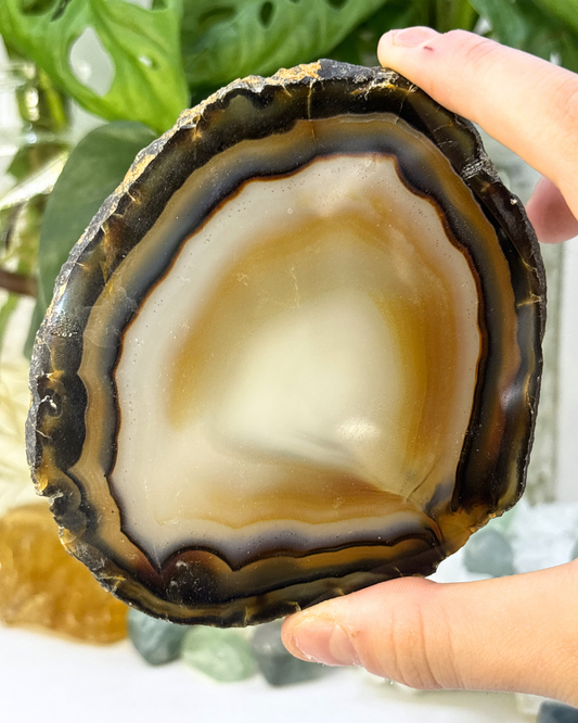 Brown Banded Agate Slice