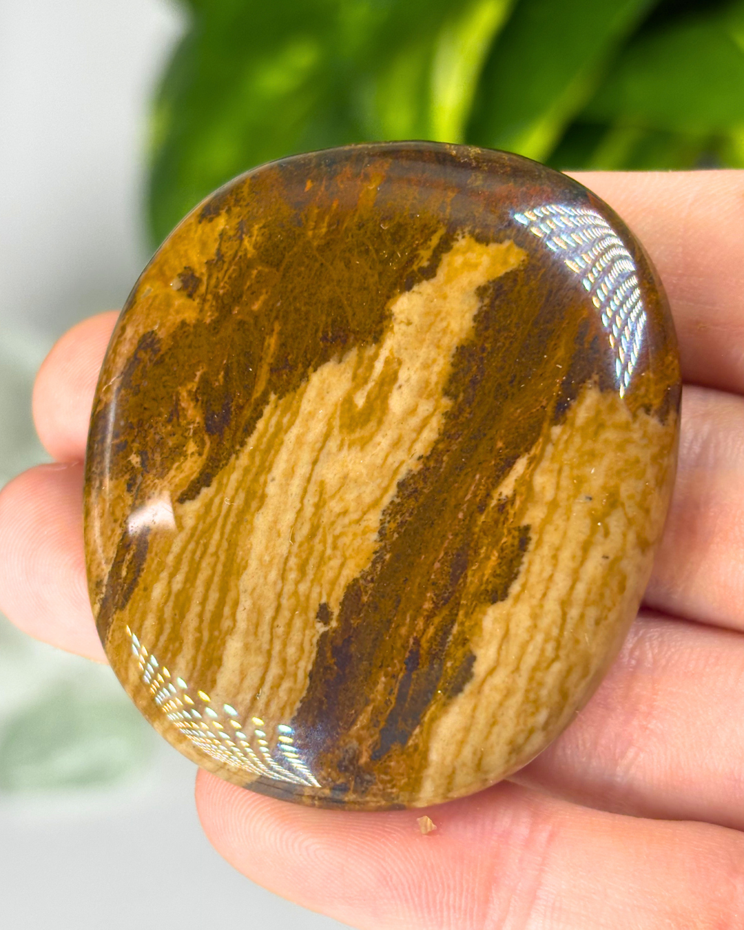Australian Picture Jasper Palm Stone