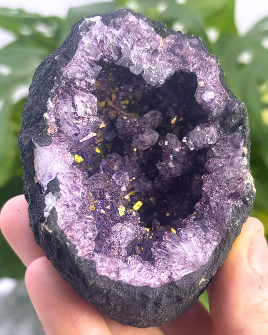Gold Angel Aura Amethyst Geode Half 3