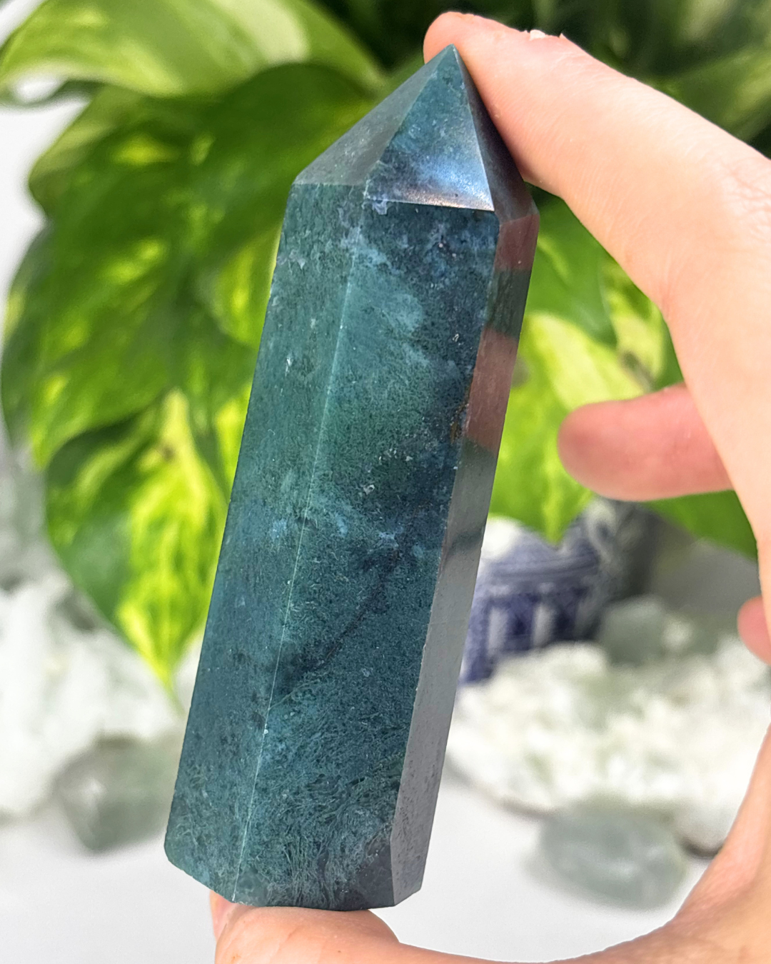 Ocean Jasper Tower 2