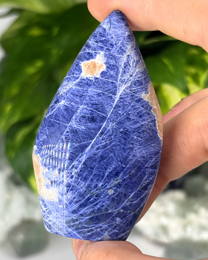 Sodalite Flame / Freeform