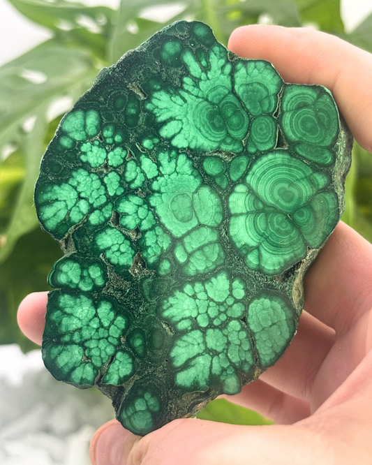 Large Polished Malachite Slice 1