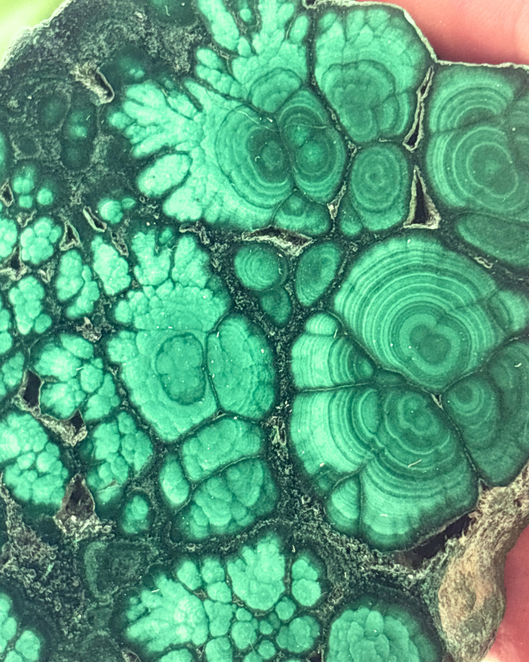Large Polished Malachite Slice 1