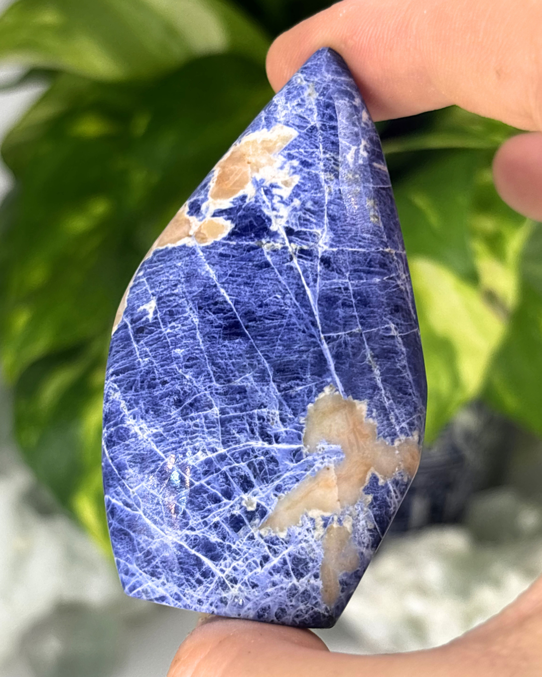 Sodalite Flame / Freeform