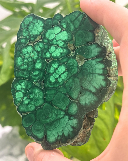 Large Polished Malachite Slice 1