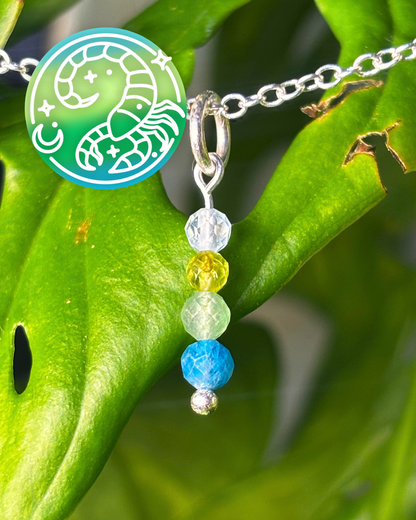 Scorpio Necklace Charm