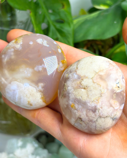 Flower Agate Palmstone