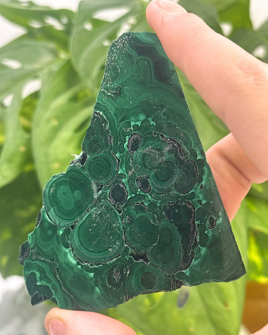 Large Polished Malachite Slice 2
