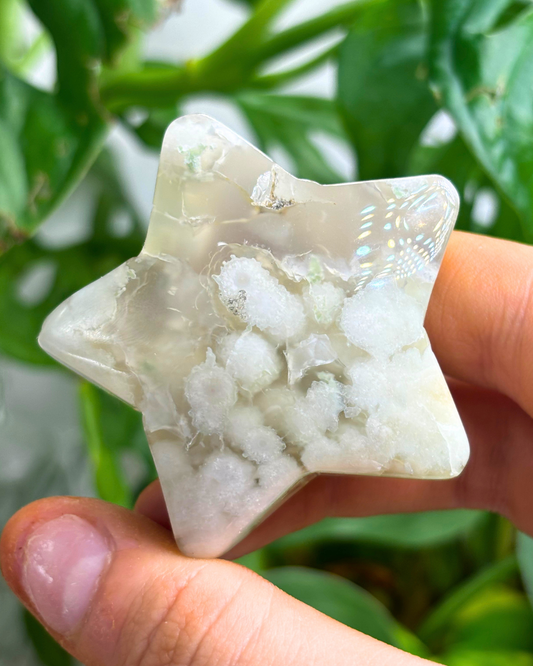 Flower Agate Star Carving