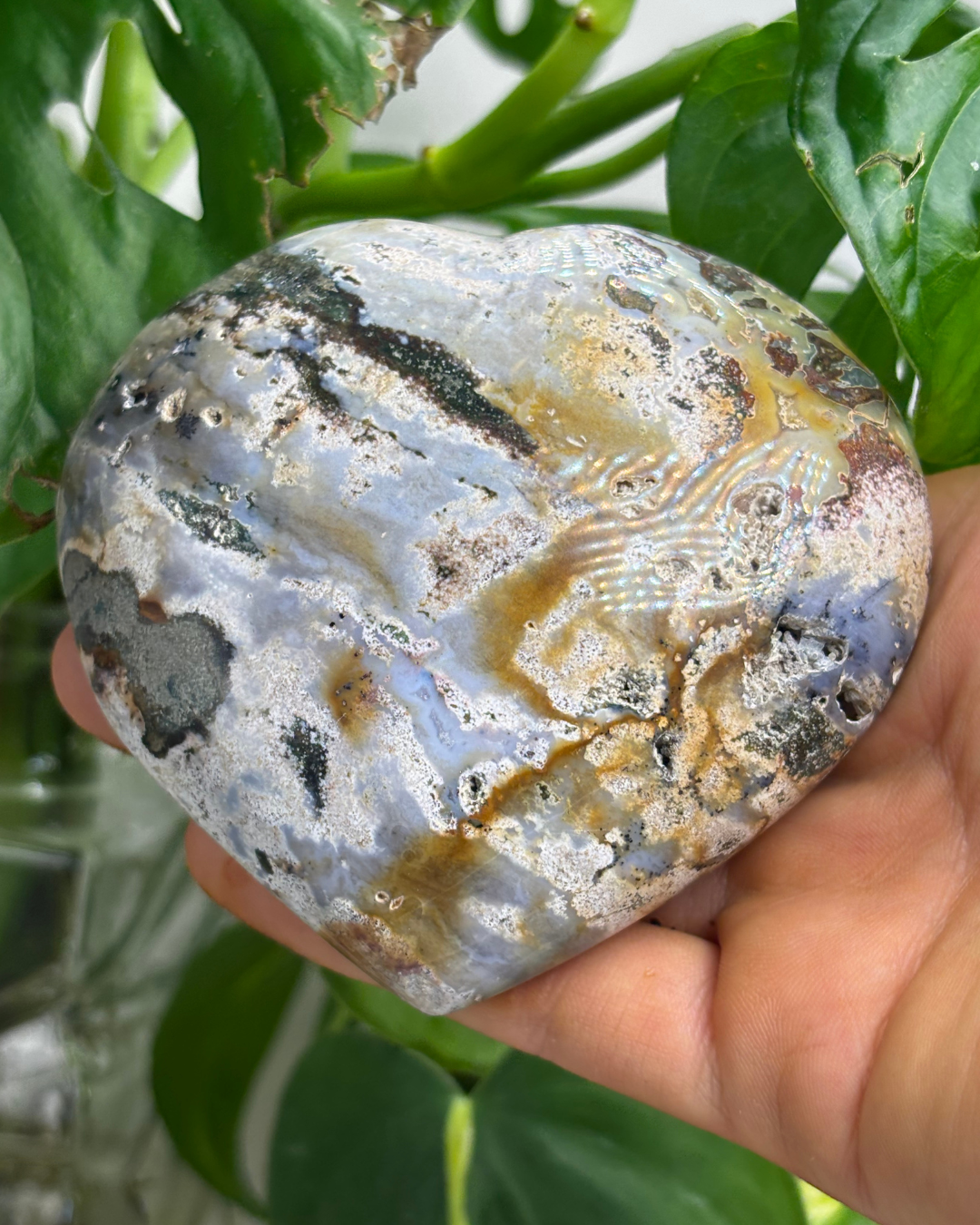 XL Purple Ocean Jasper Heart