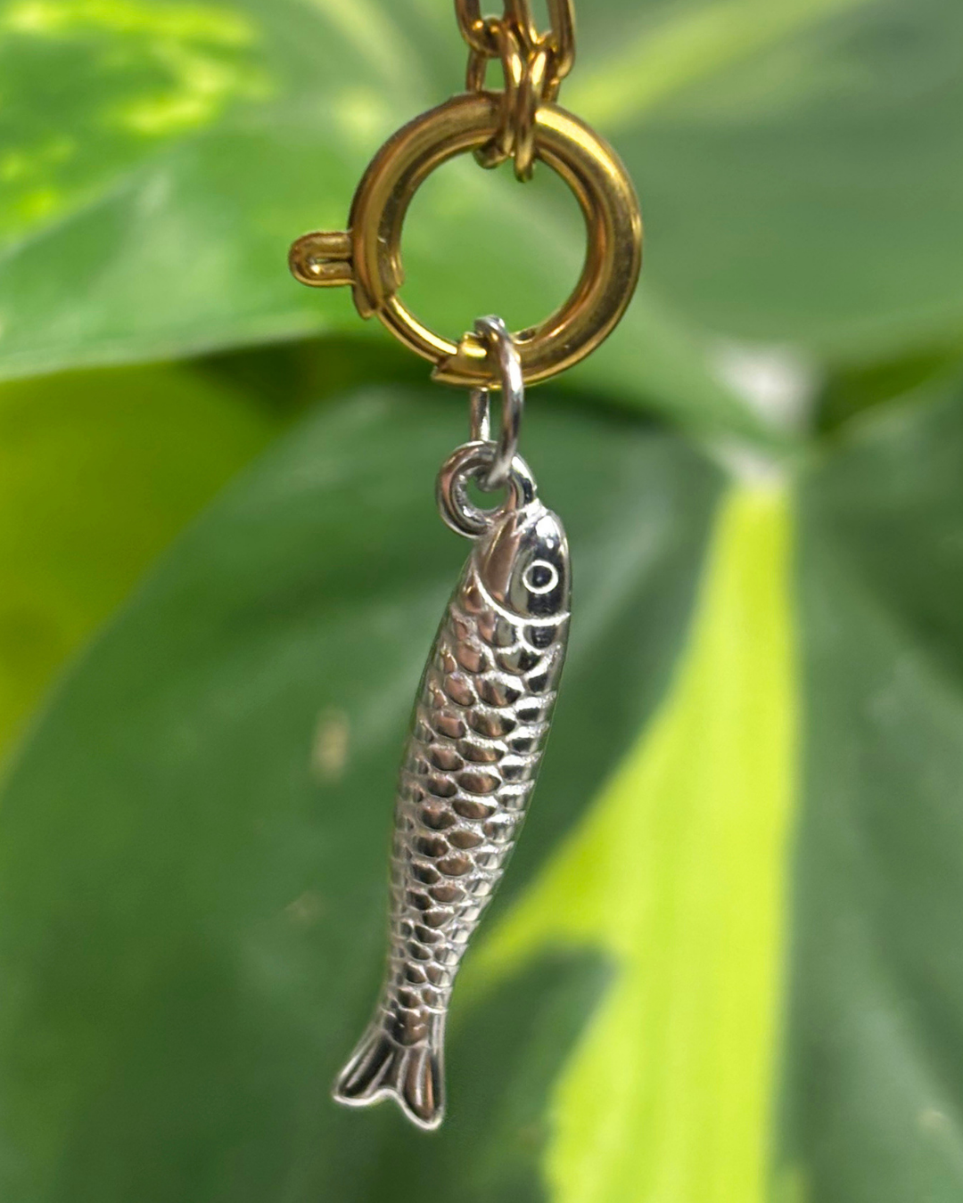 The Silver Sardine Charm