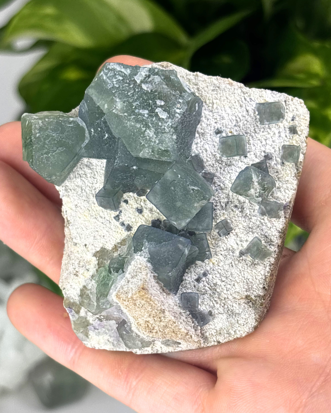 Blue Fluorite Specimen